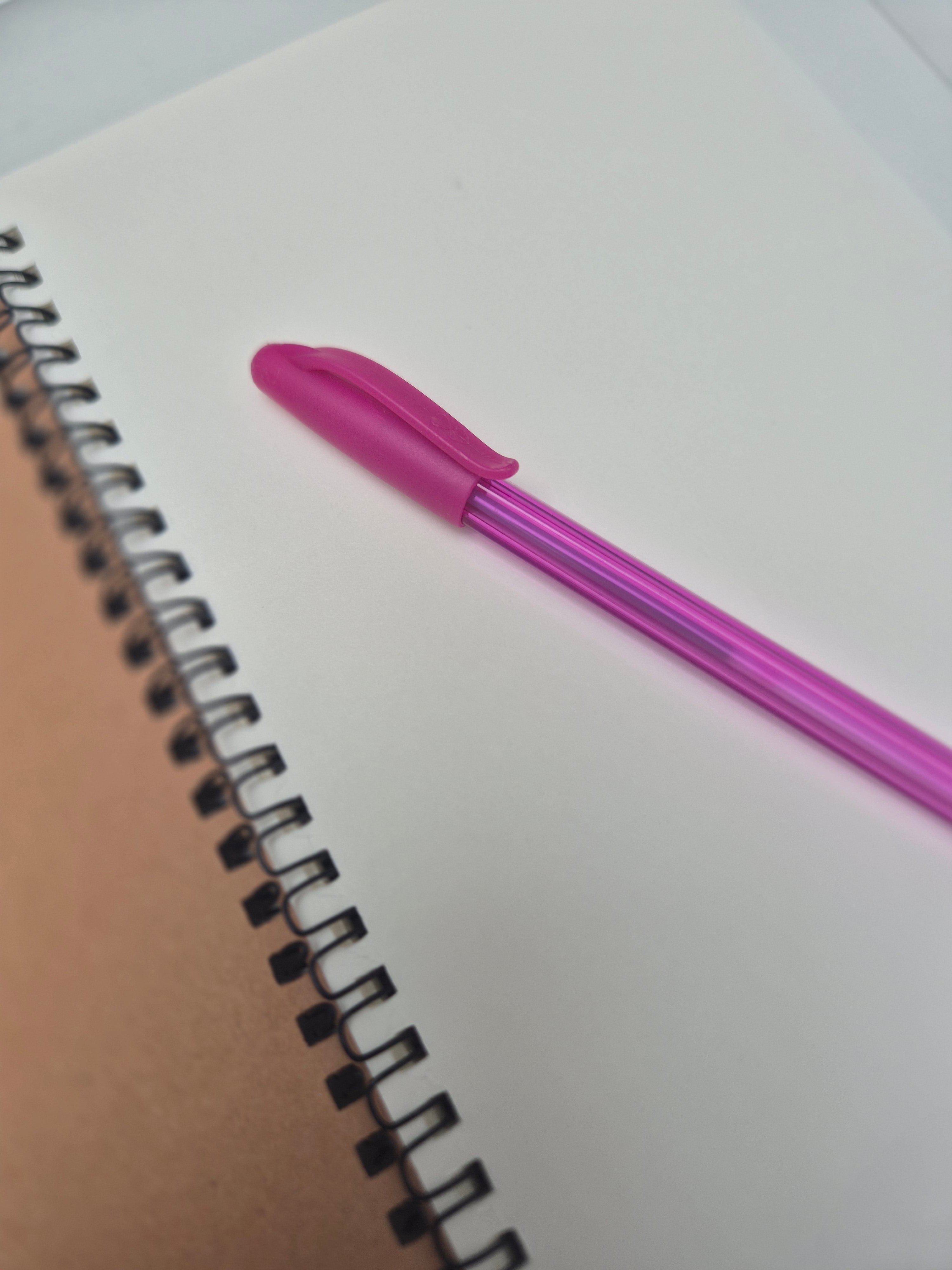 Journal | The Wilderness of Creativity